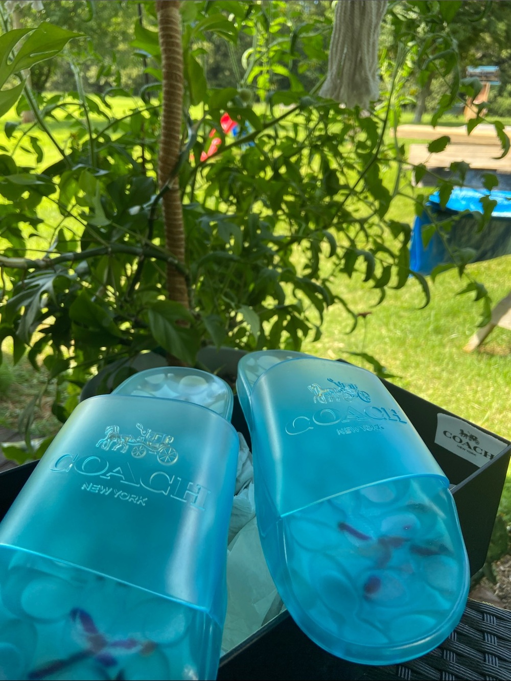 Coach Blue Translucent Rubber Slide Sandals